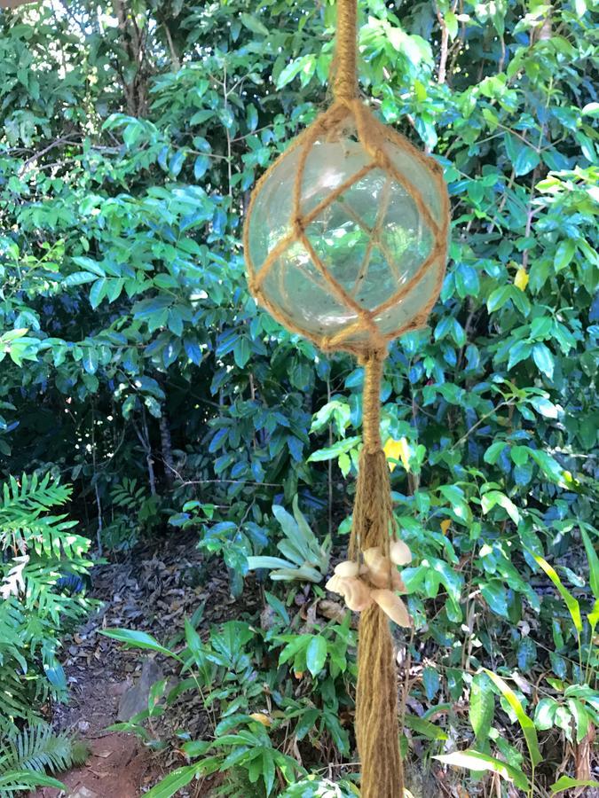 Daintree Magic Holiday House Cow Bay Exterior photo