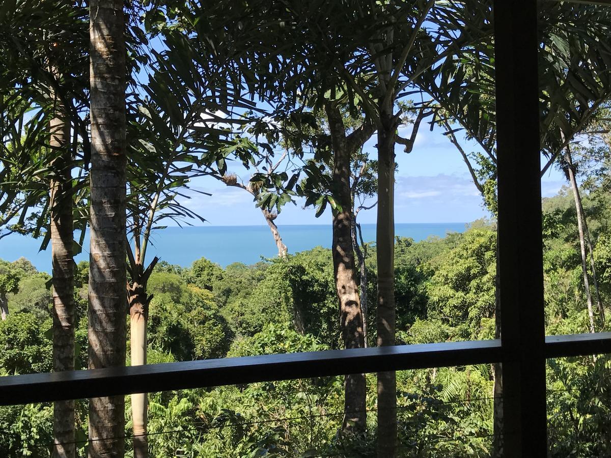 Daintree Magic Holiday House Cow Bay Exterior photo