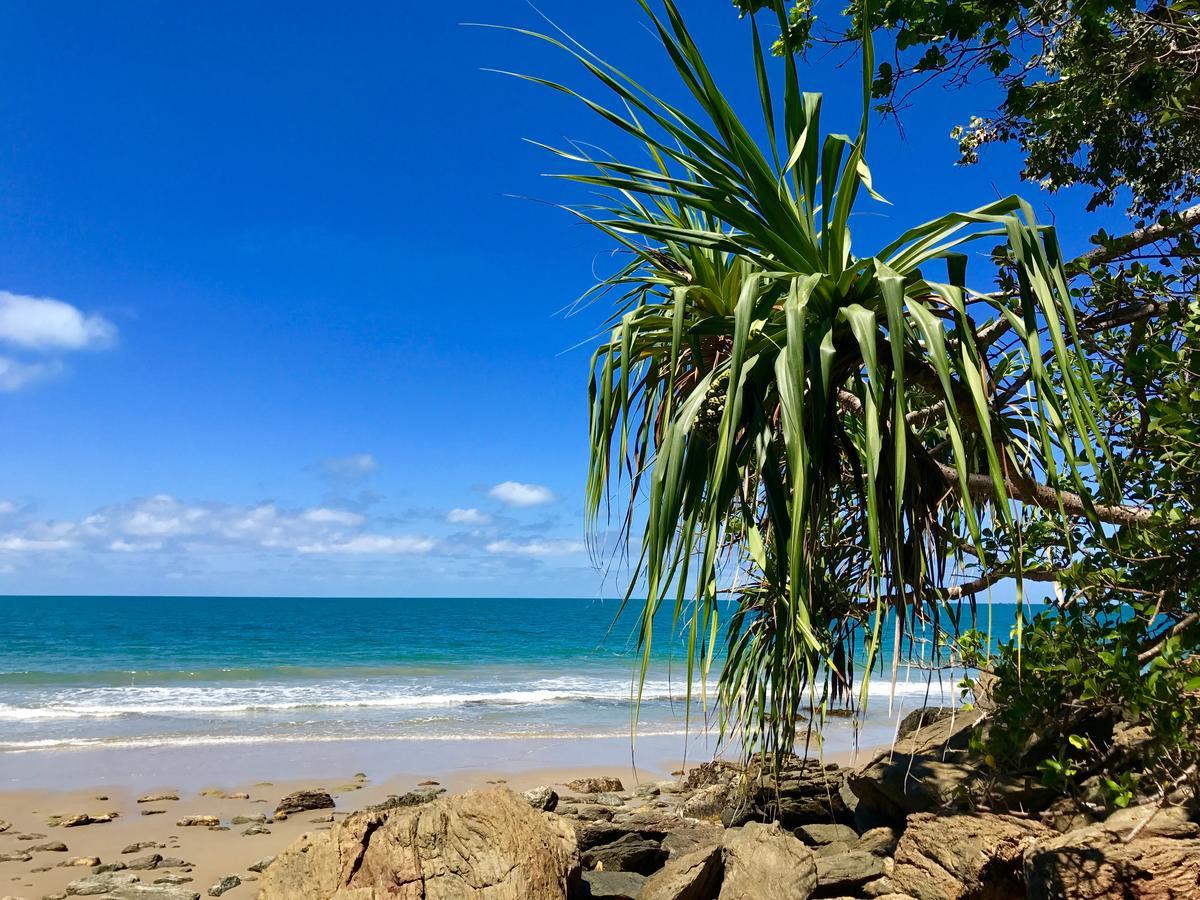 Daintree Magic Holiday House Cow Bay Exterior photo