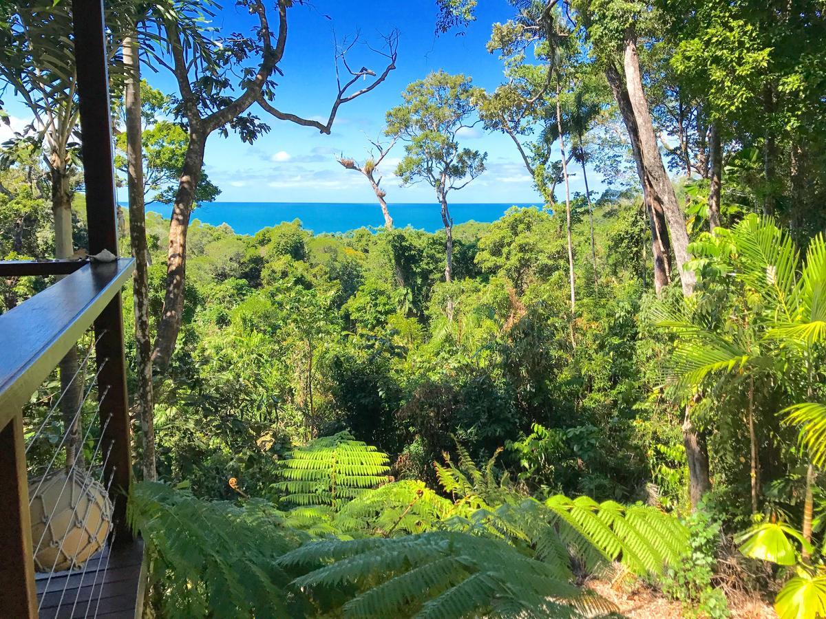 Daintree Magic Holiday House Cow Bay Exterior photo