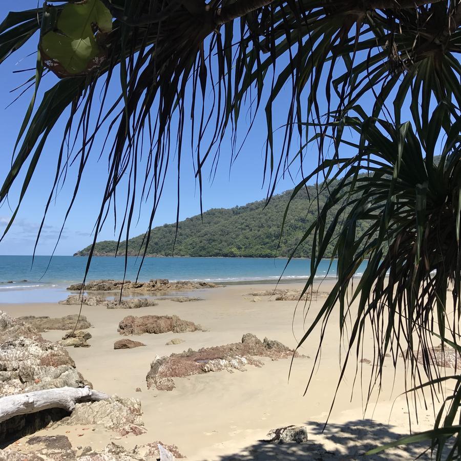 Daintree Magic Holiday House Cow Bay Exterior photo